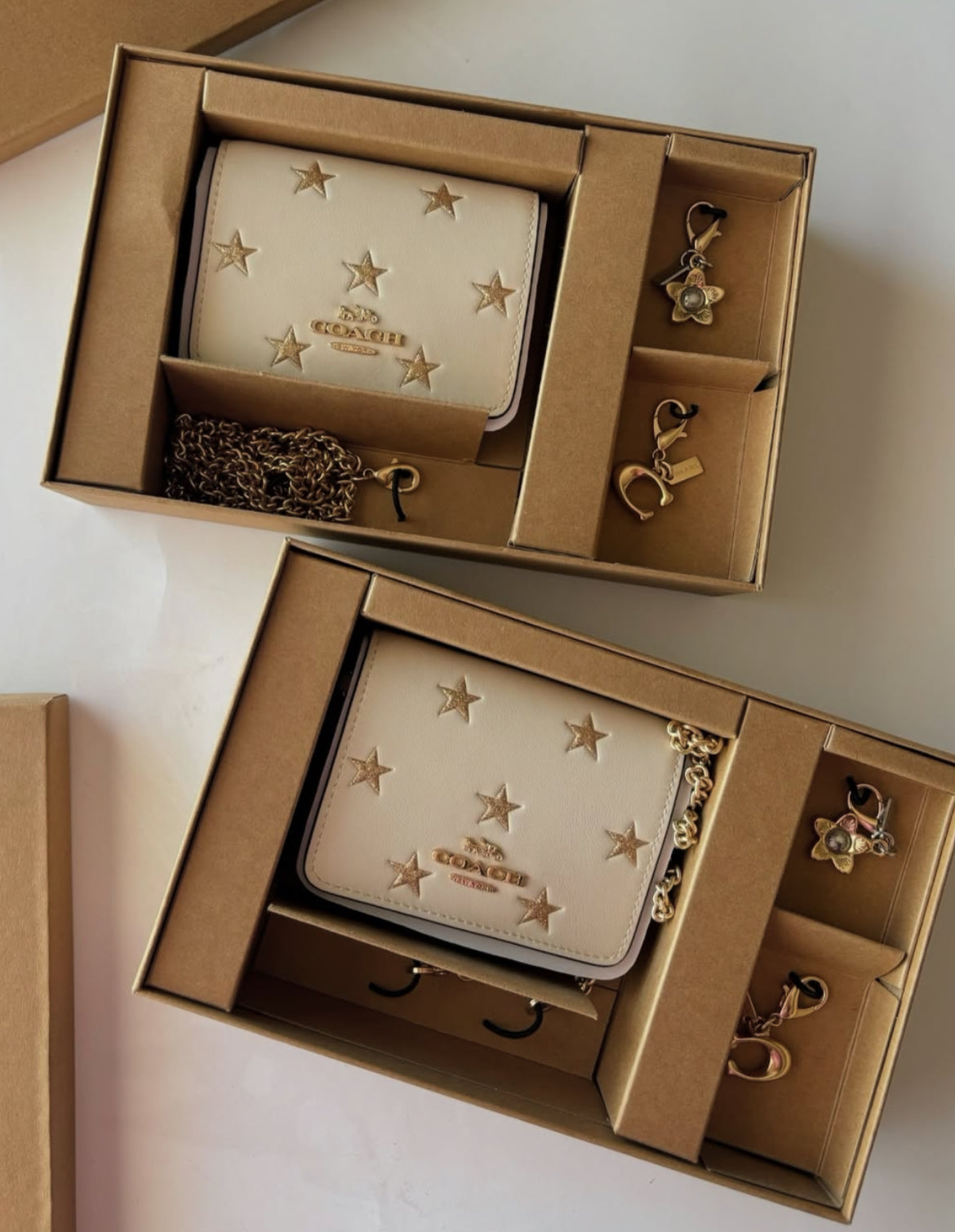 Coach Mini Wallet on a Chain✨ Star Print Gift Set