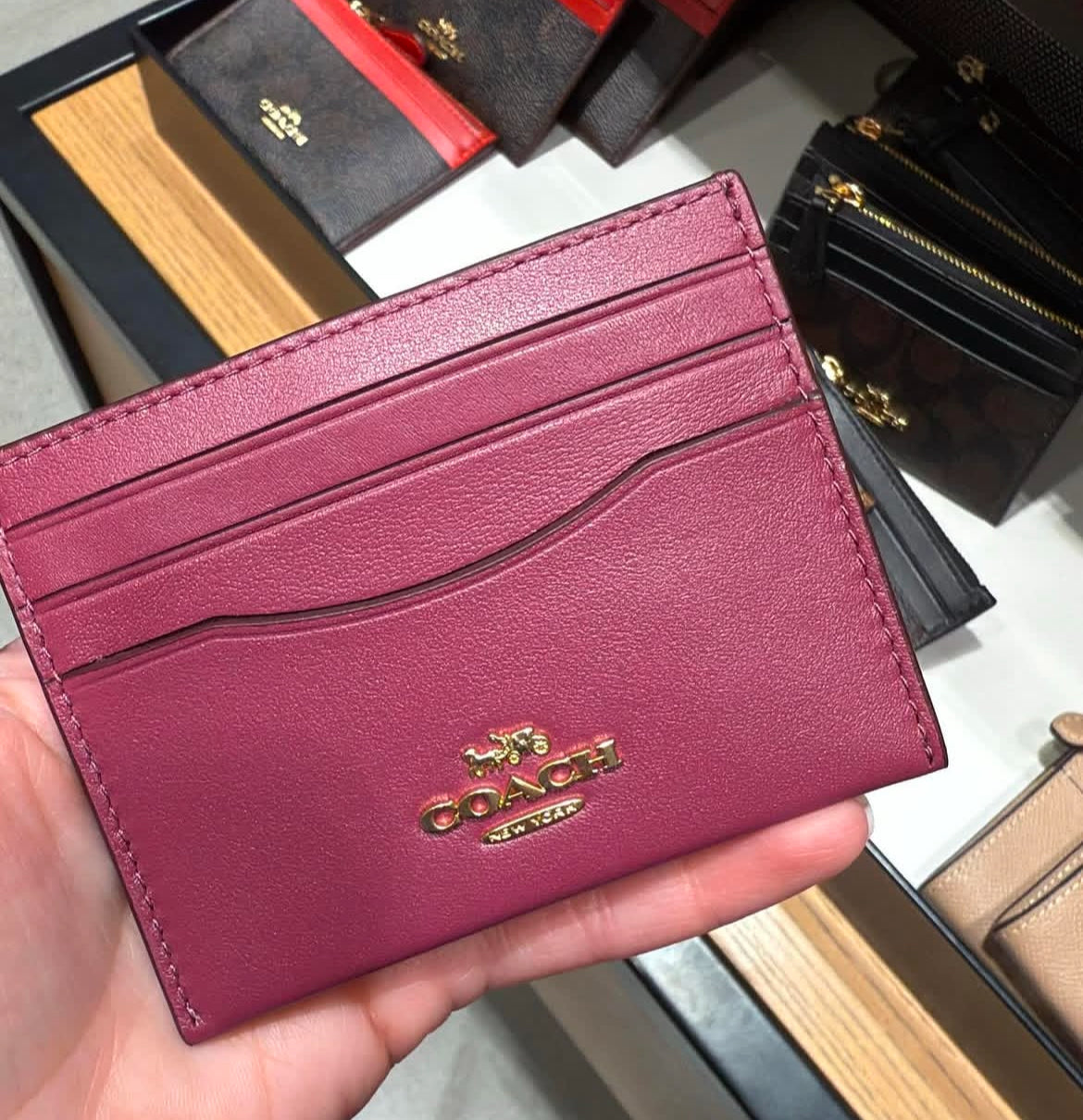 Coach Card Holder