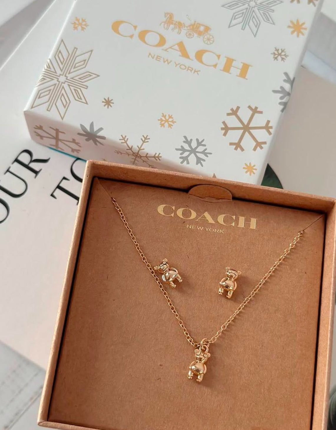 Coach Teddy Bear Jewerly Set