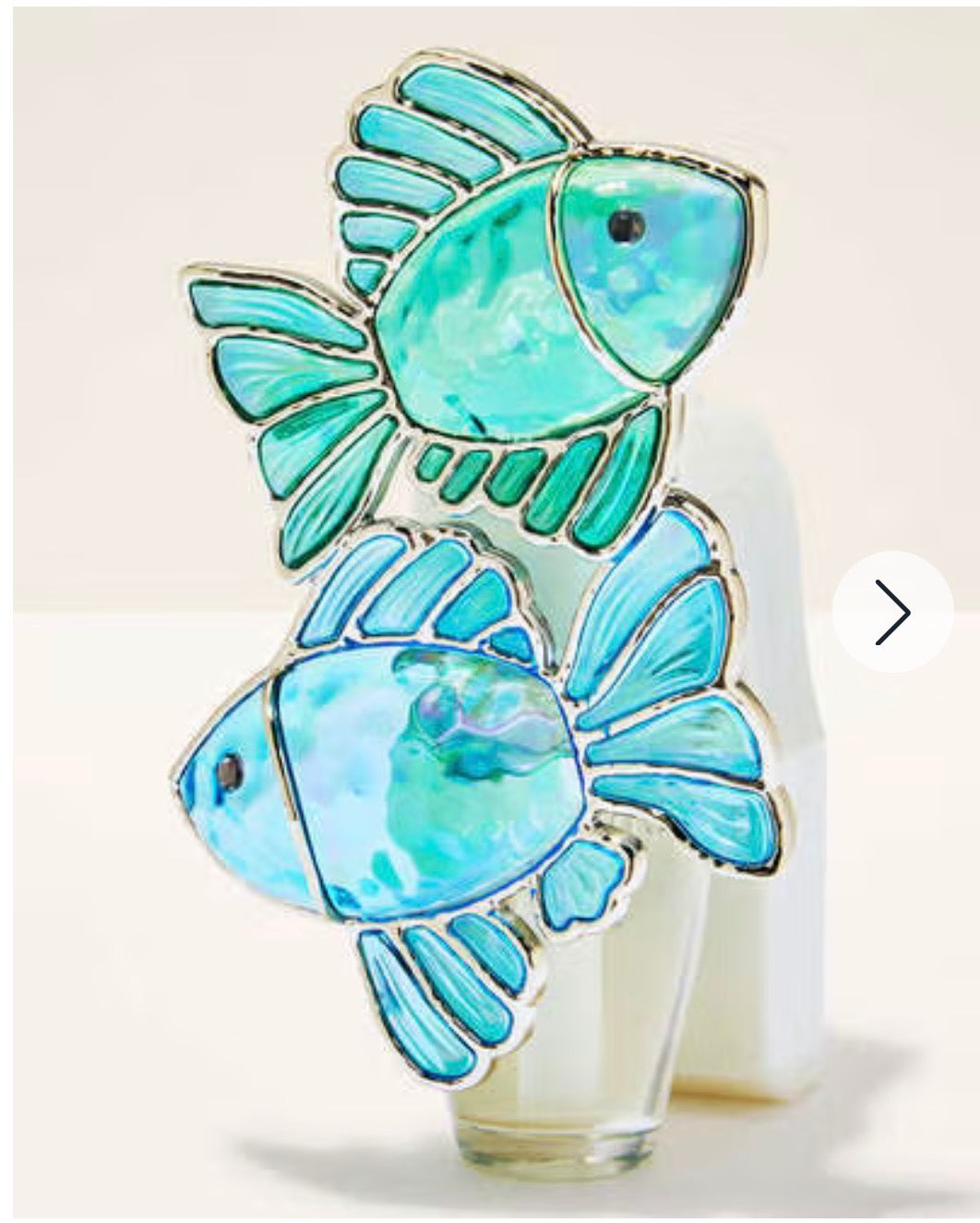 Conector de Pared de Peces