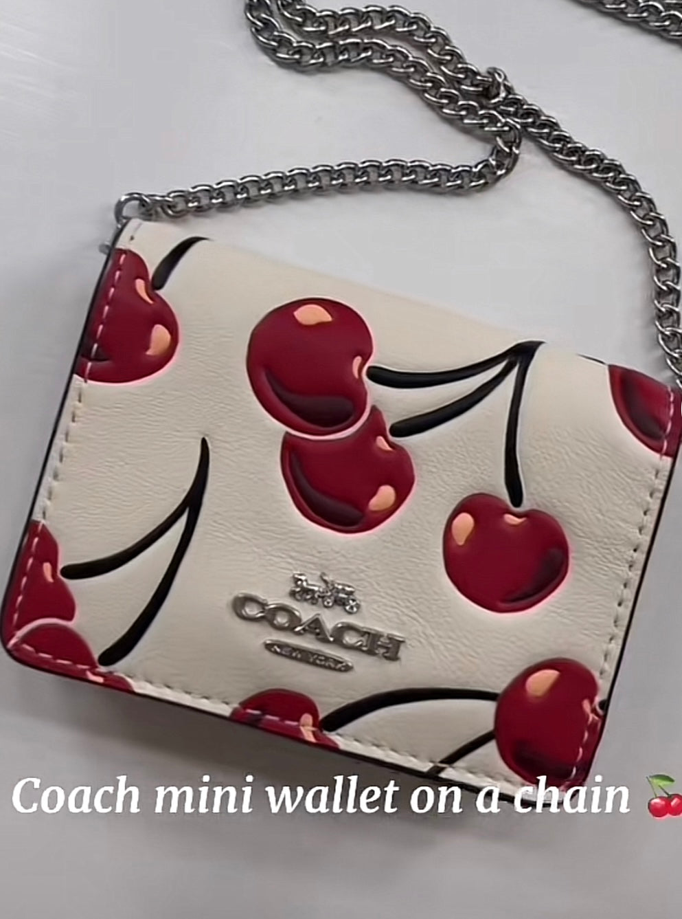 Coach Mini Wallet on a Chain🍒