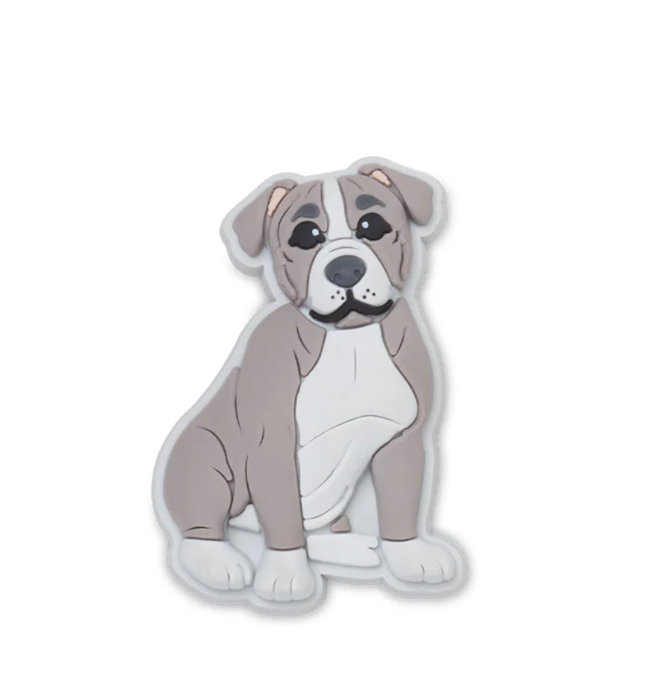 Jibbitz Pitbull Puppy