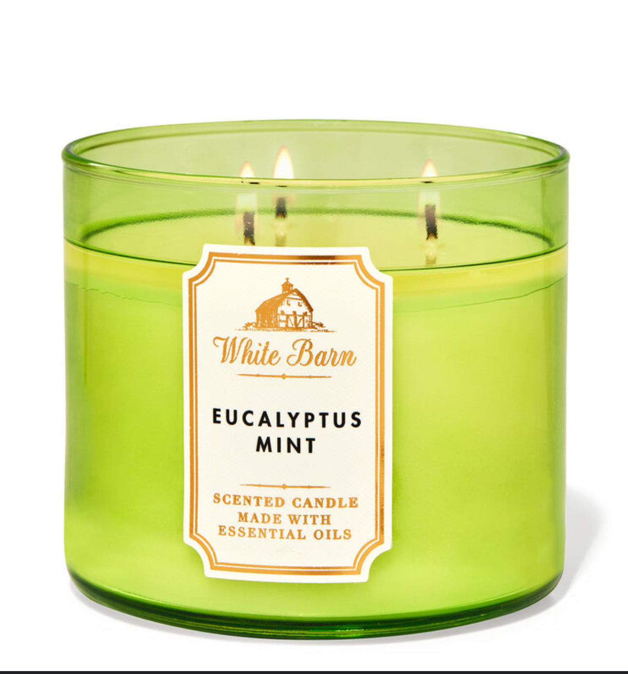 Bath and body works eucalyptus mint vela 3 mechas