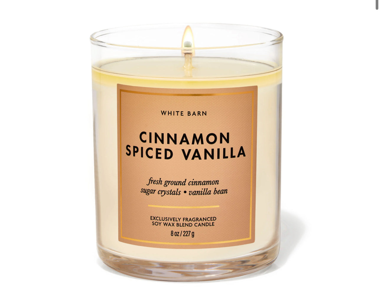 Vela de 1 Mecha Cinnamon Spiced Vanilla