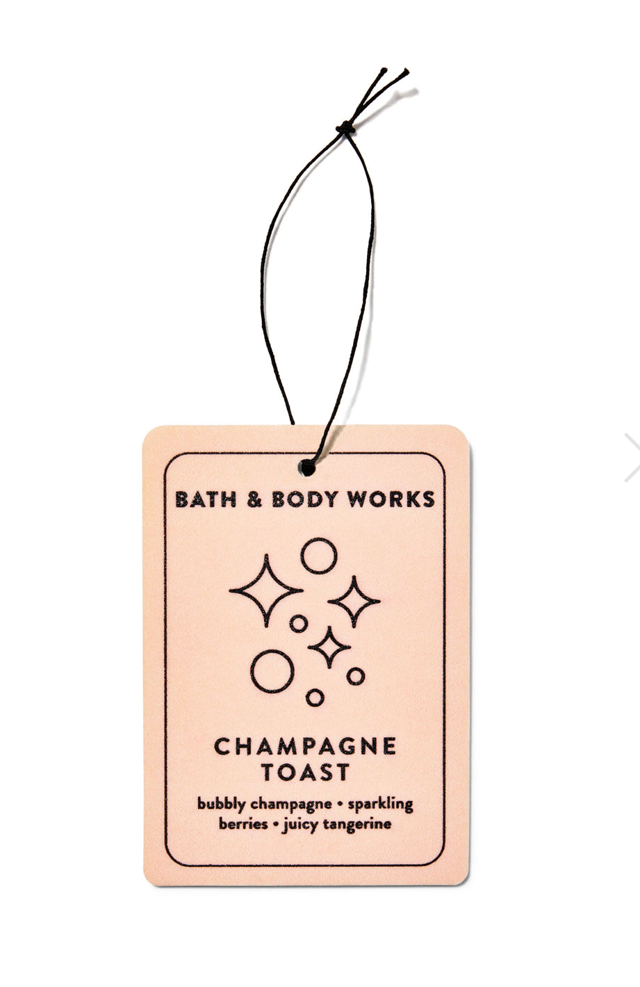 Hanging Fragrance Diffuser Bath and Body Works Champagne Toast