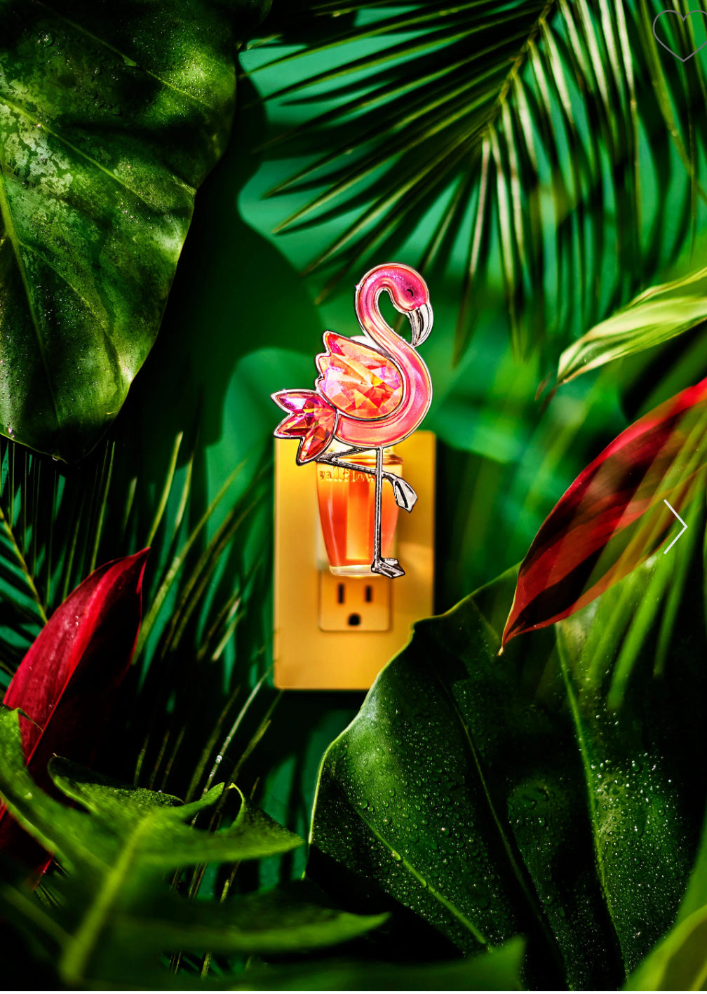 Conector de Aroma para Pared flamingo