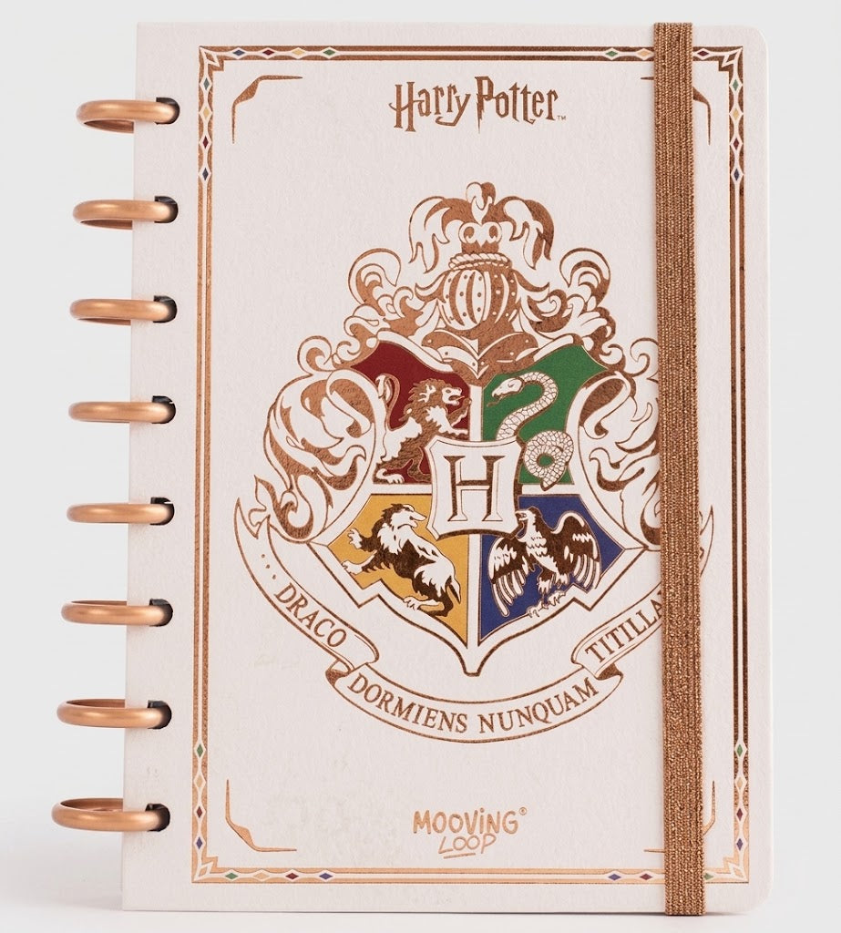 Cuaderno de Sistema de Discos Harry Potter