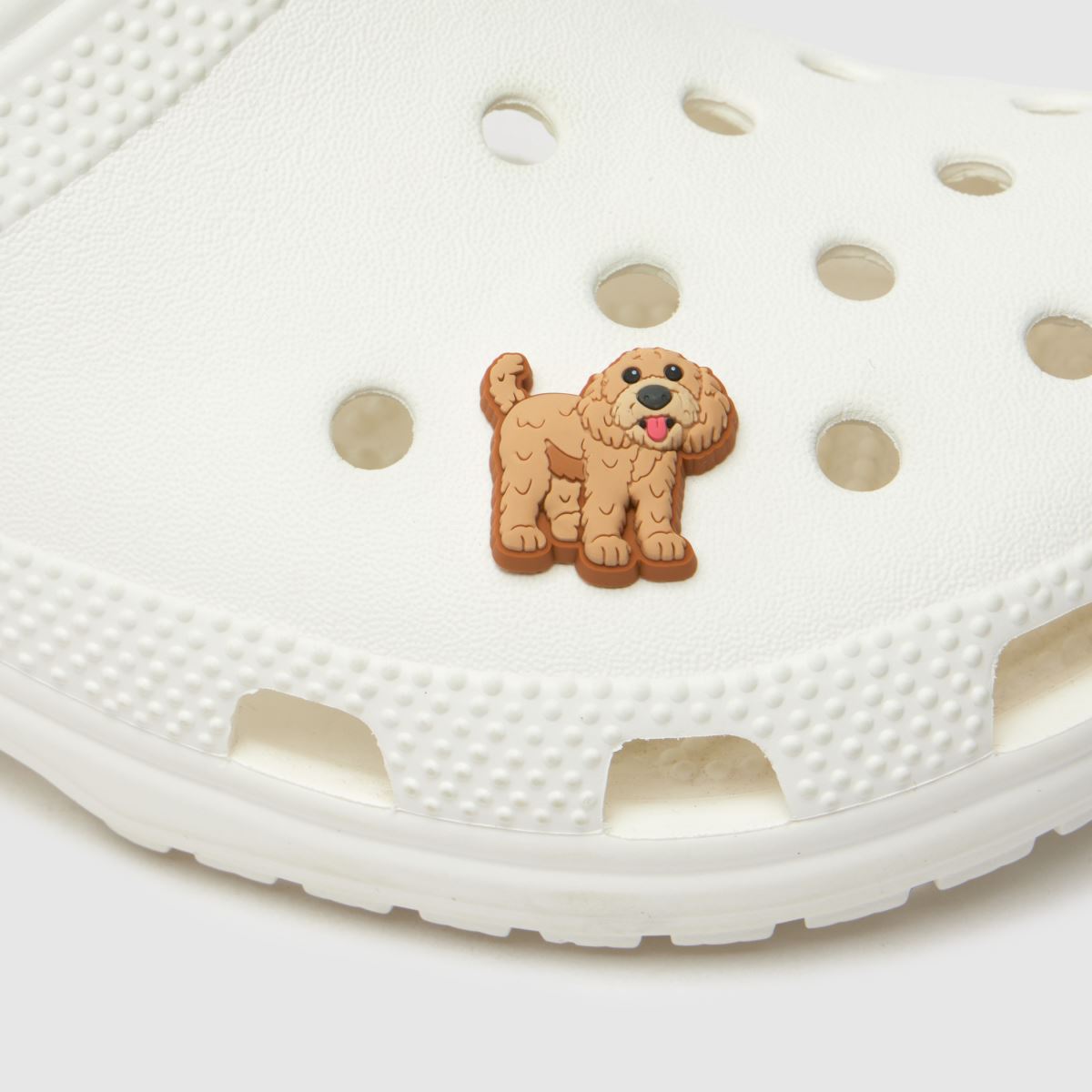 Golden Doodle Puppy Jibbitz para crocs