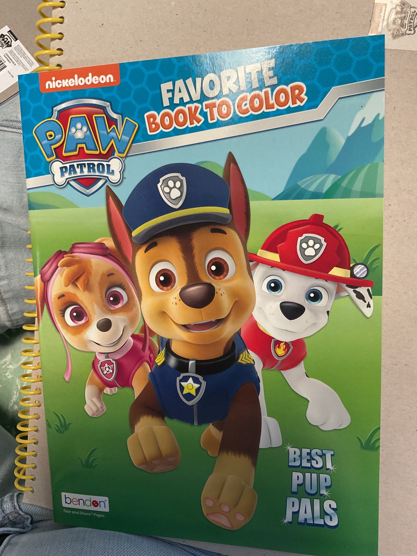 Paw Patrol Coloring Book