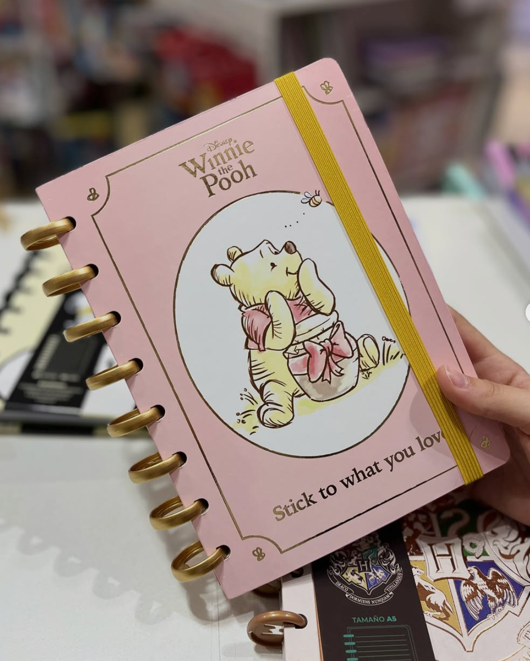 Cuaderno de Sistema de Discos Winnie the Pooh
