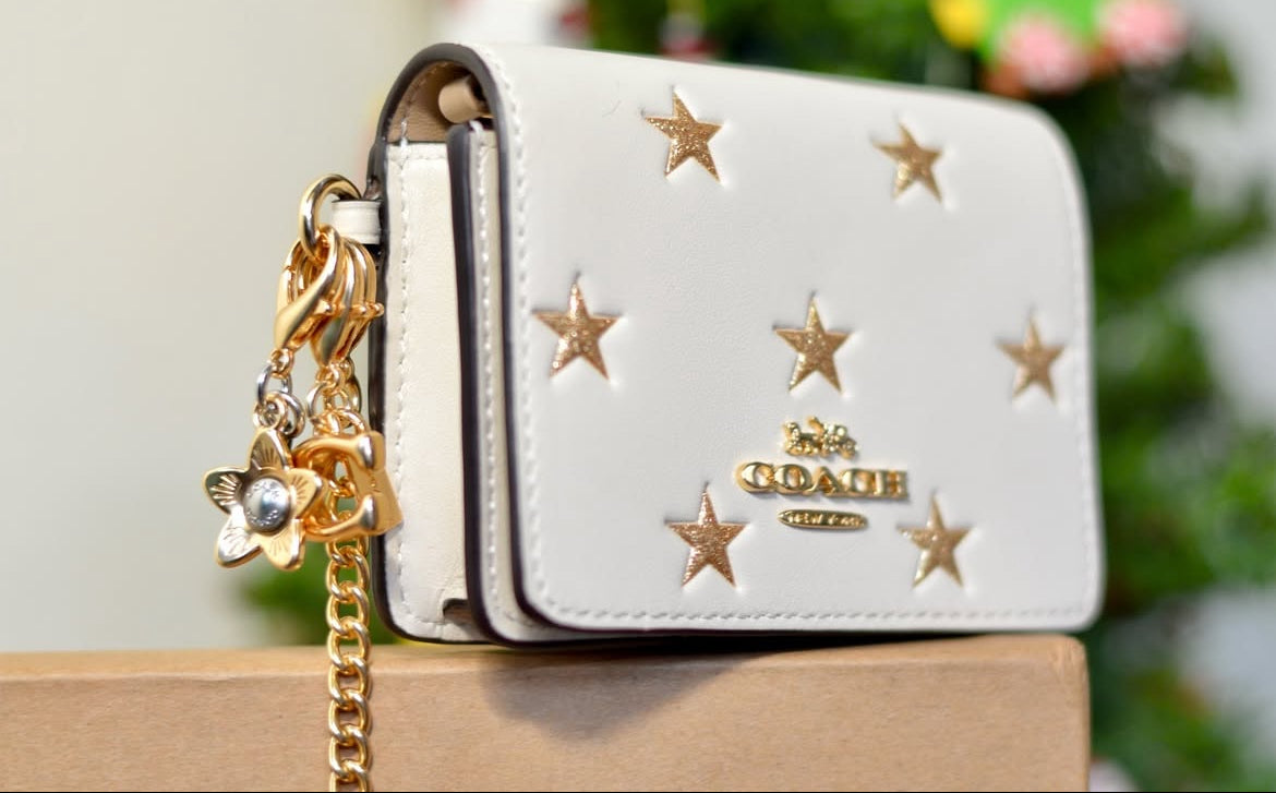 Mini Wallet on a Chain Star Print