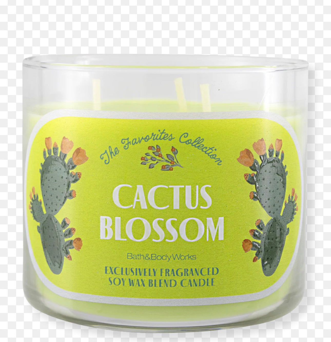 Vela de 3 Mechas Cactus Blossom