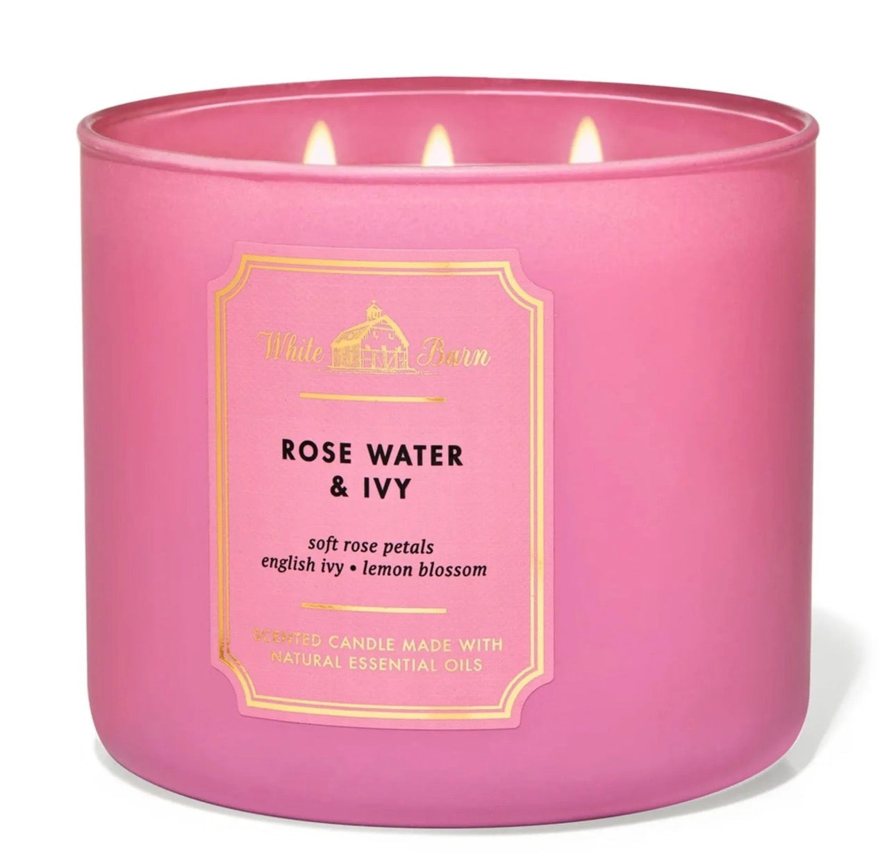 Vela de 3 Mechas Rose Water & Ivy