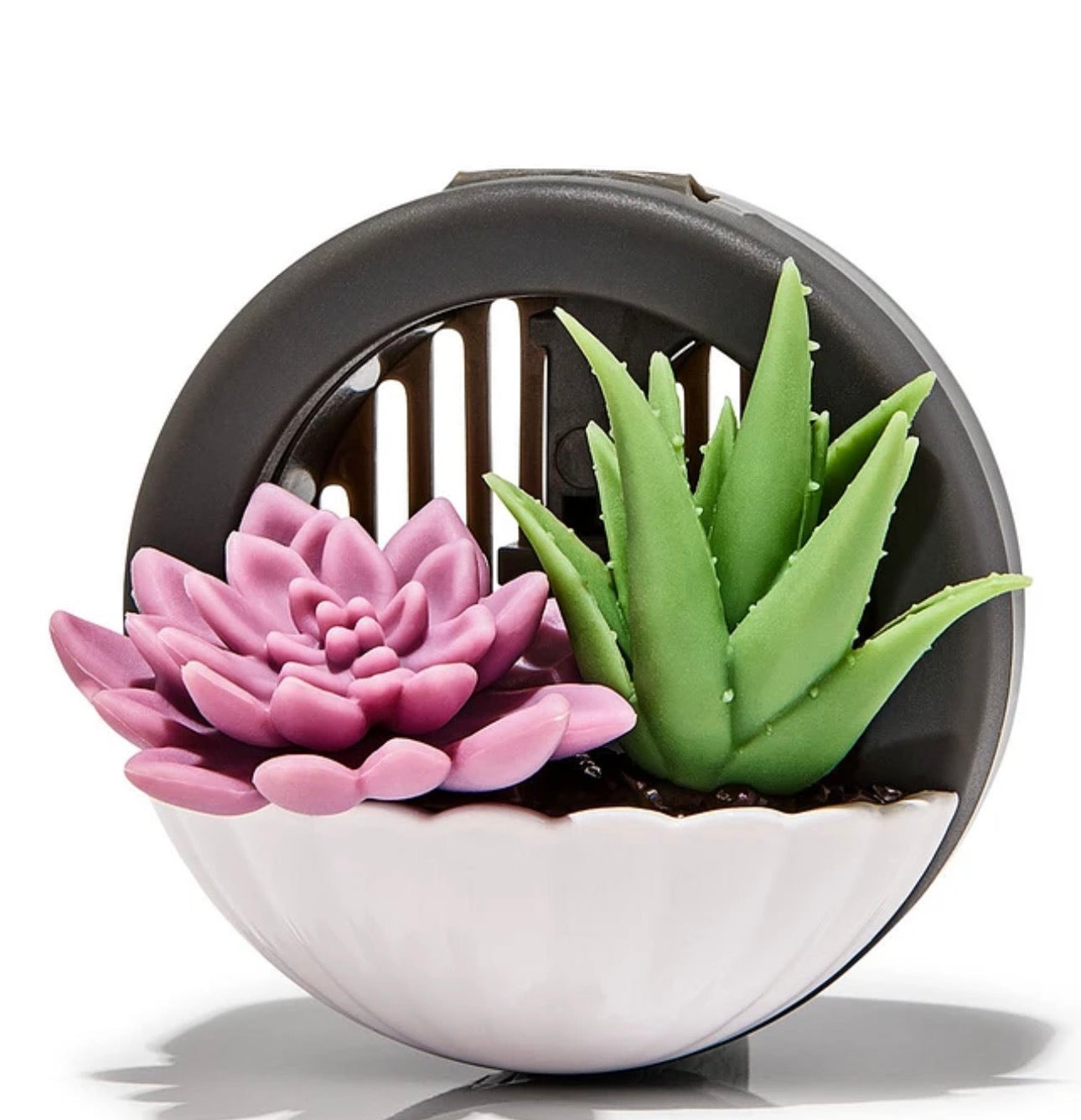 Clip Para Aroma de Carro de Cactus