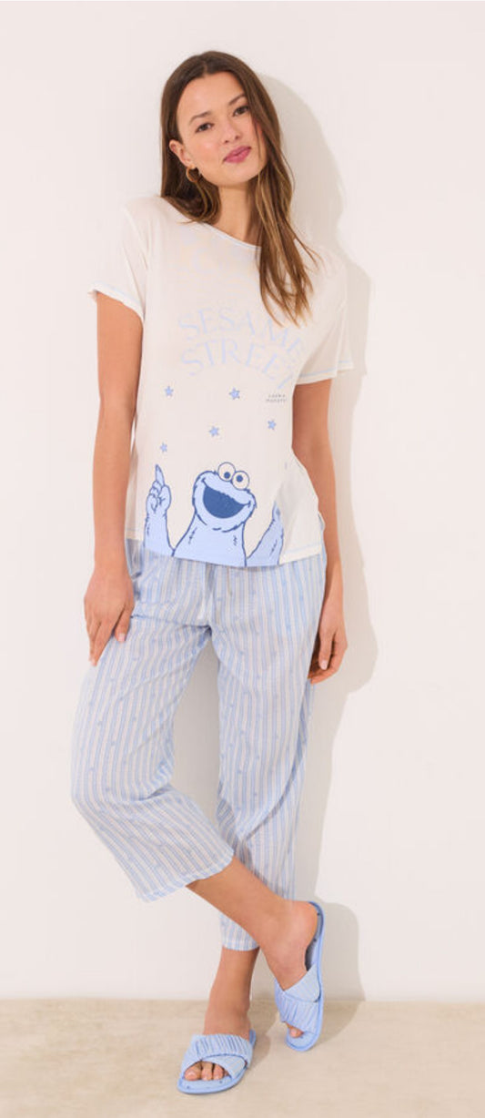 Pijama Cookie Monster
