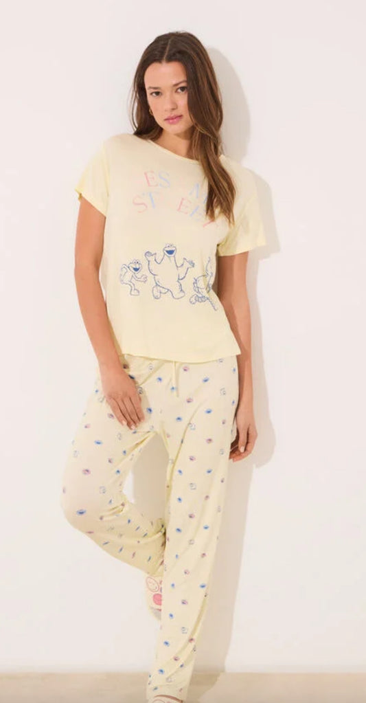 Pijama Sesame Street