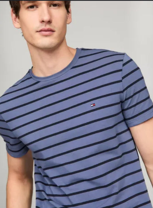Camiseta Tommy Hilfiger