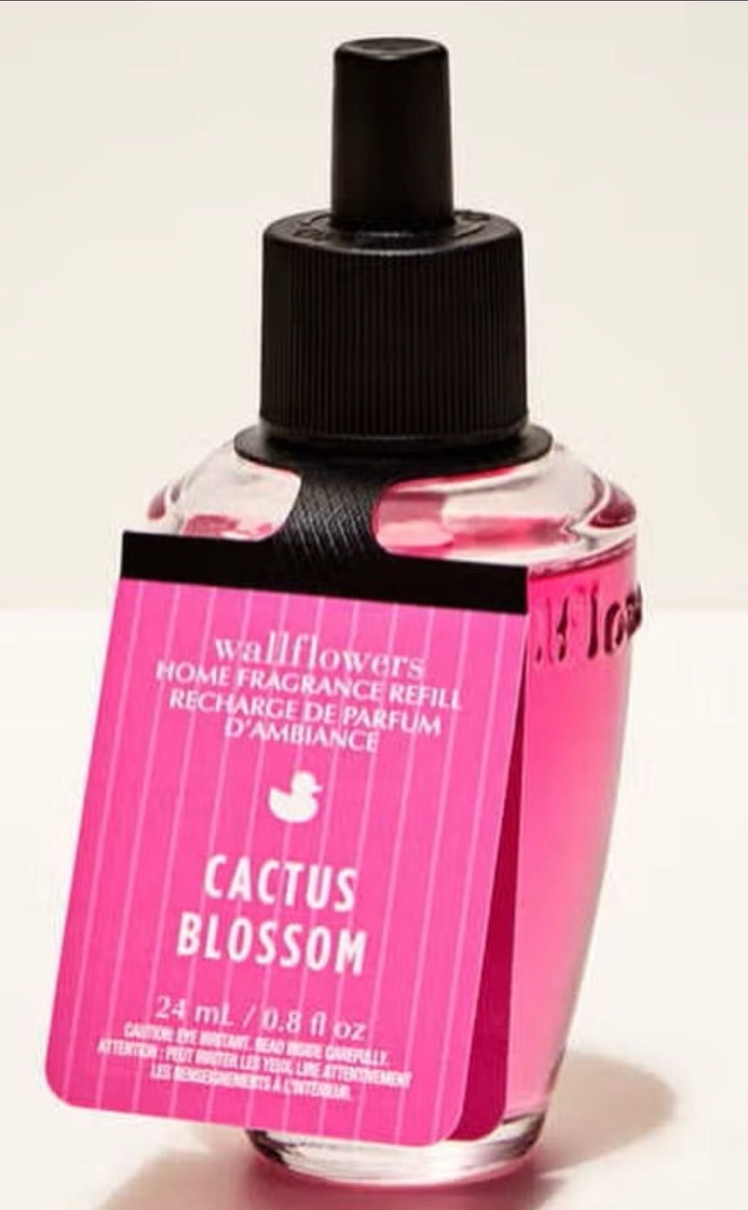 Refill de Aroma de Pared Cactus Blossom
