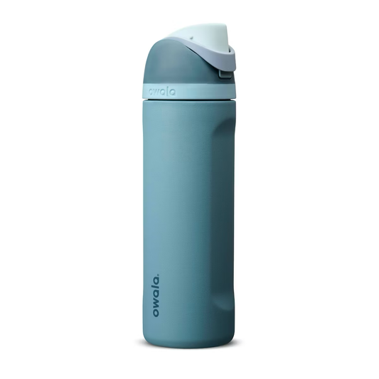 Owala 24 fl oz Stainless Steel FreeSip Rainy Day