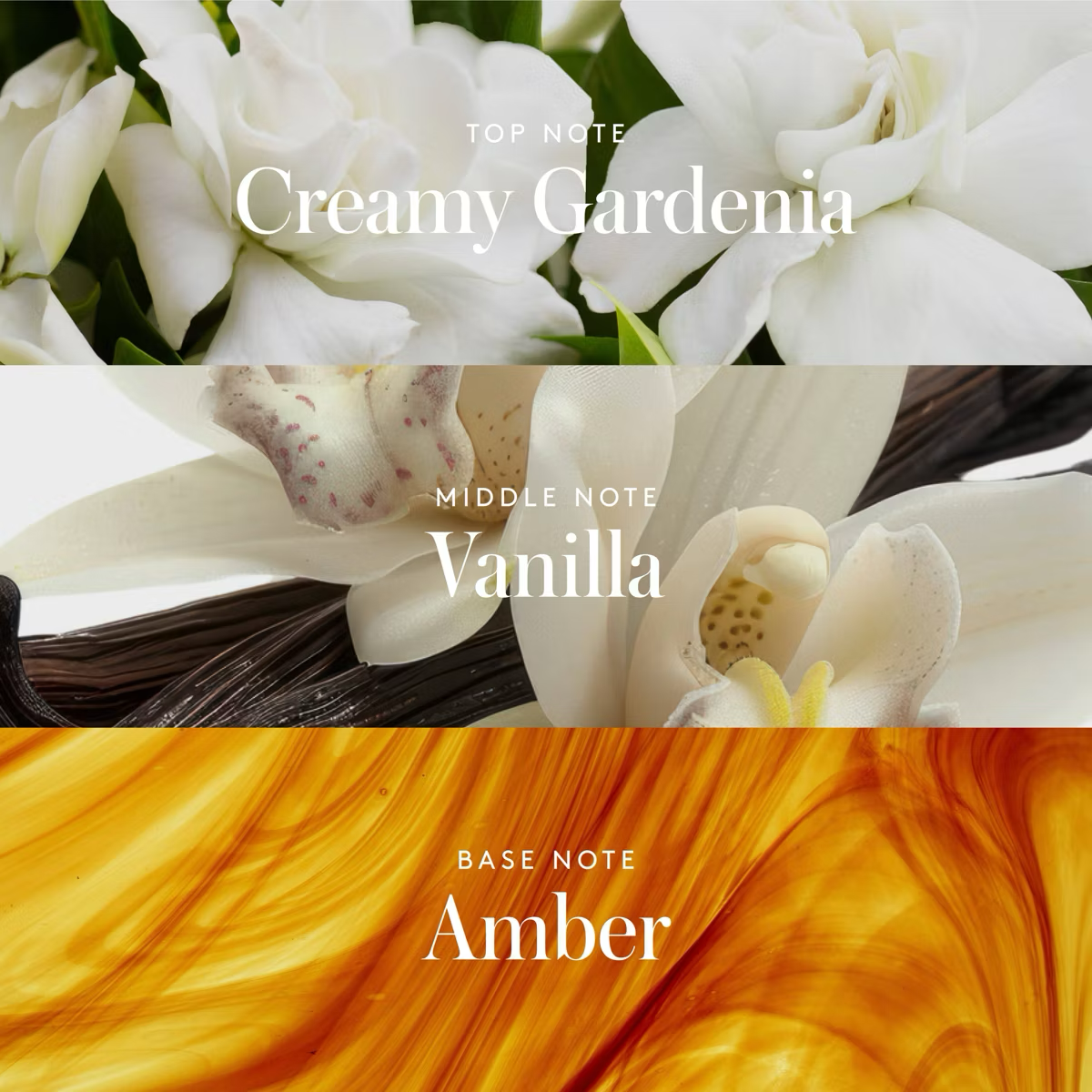 Athena Club Skin Perfecting Body Lotion - Amber Hours