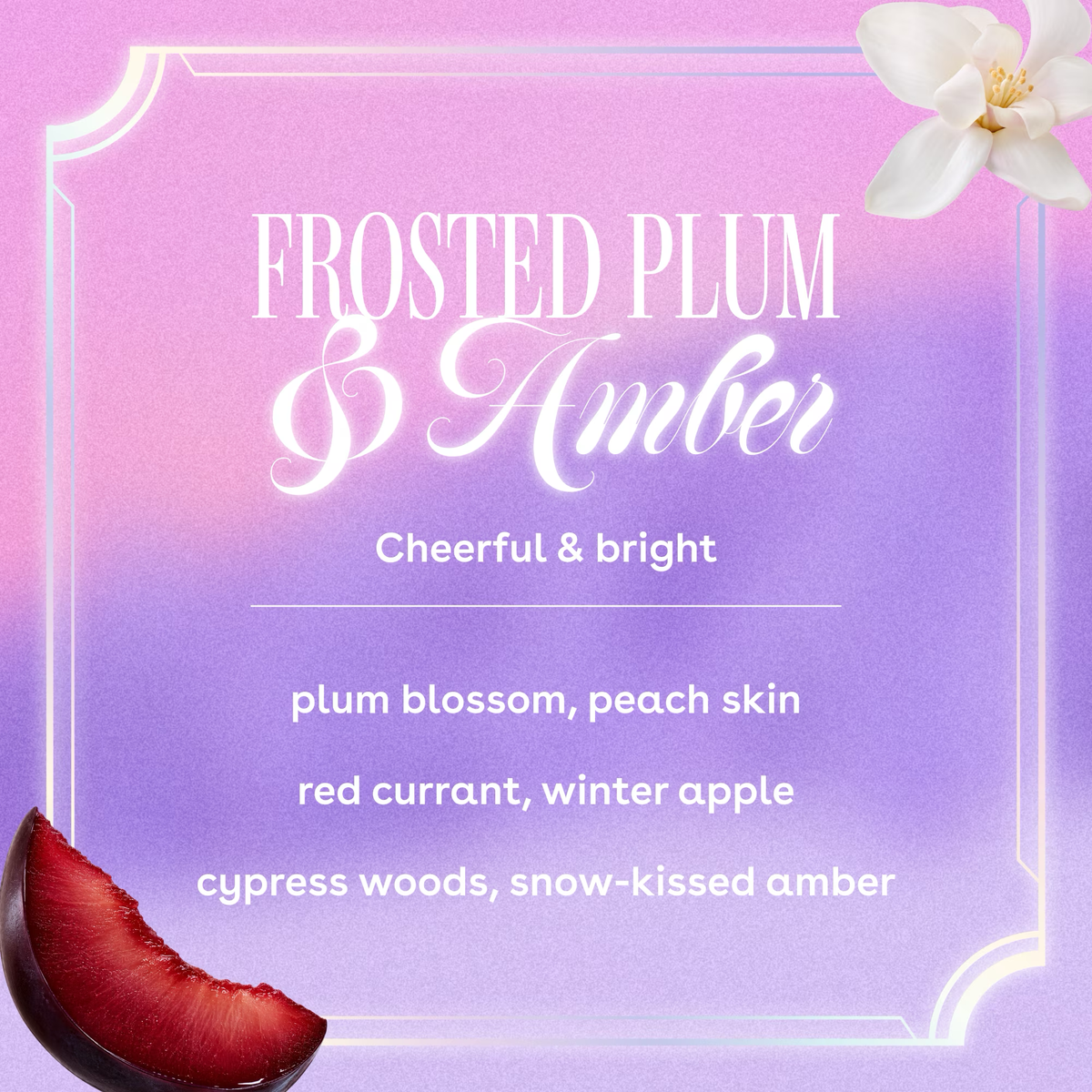 eos Shea Better Body Lotion Frosted Plum & Amber – COCO.HN