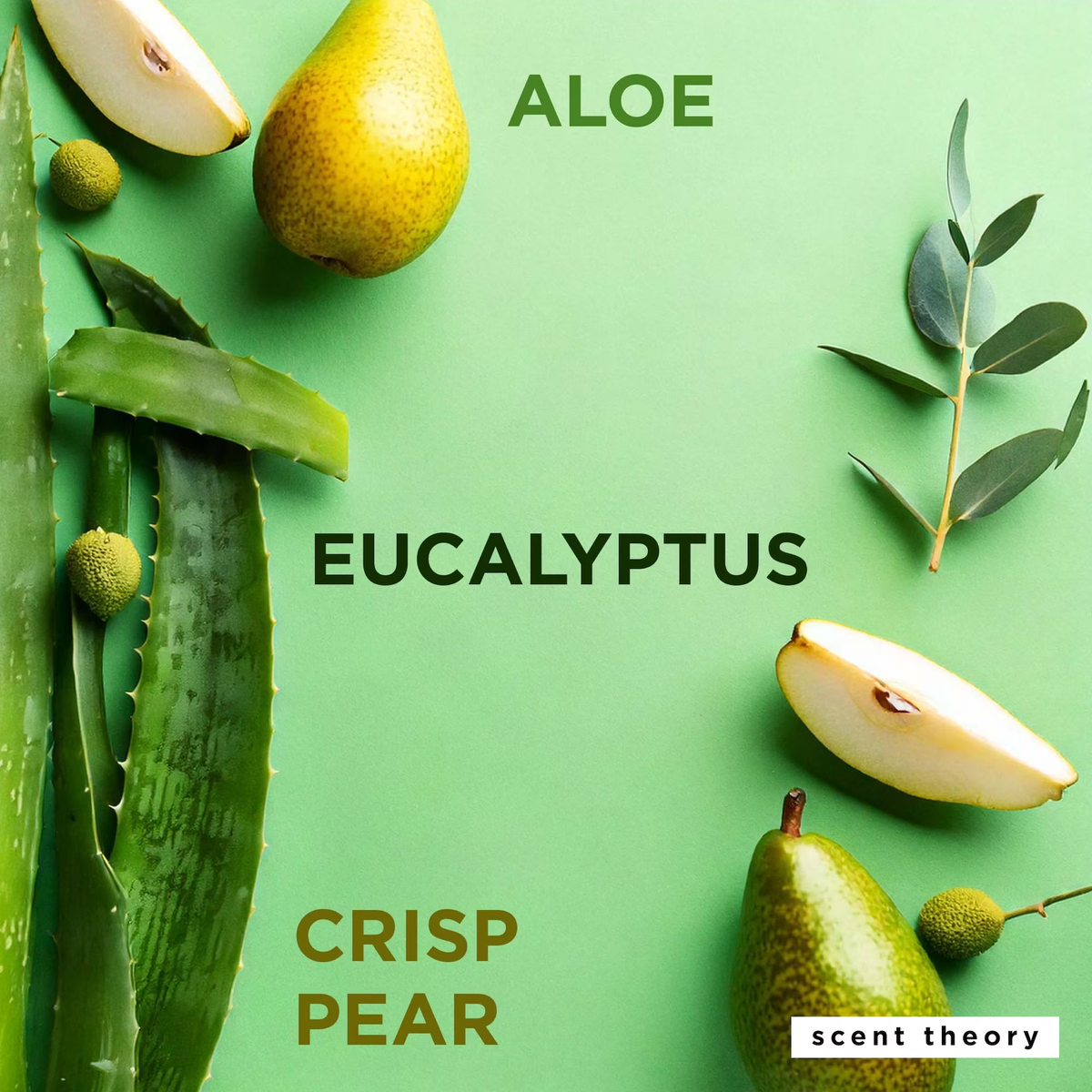 Scent Theory Spray Desinfectante de Manos Lush Aloe