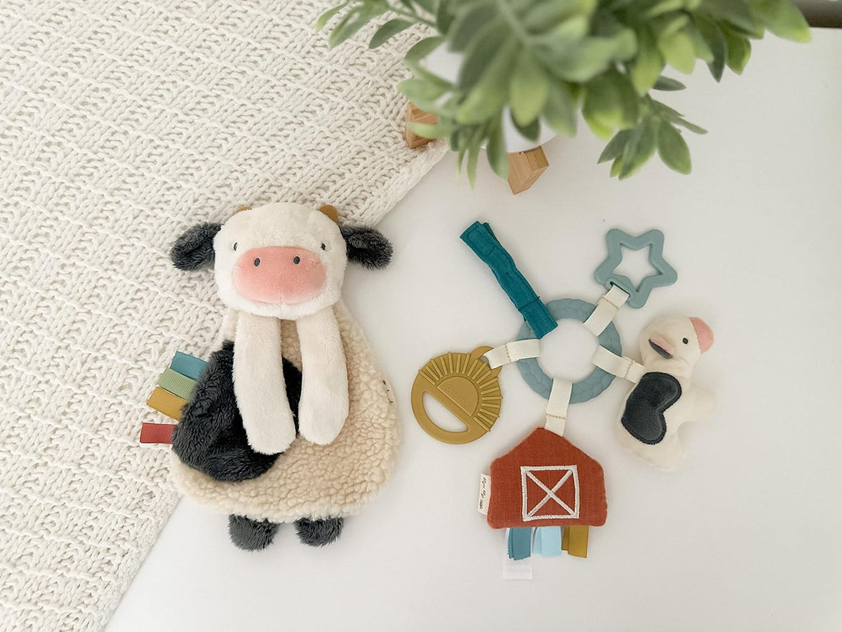 Itzy Ritzy Farm Toy Gift Set